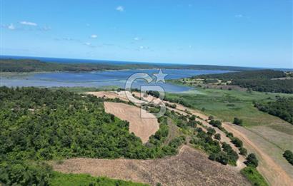 CB NEXUS'DAN ÇATALCA HSAİRBEYLİ DE 4626 M2 YATIRIMLIK ARSA