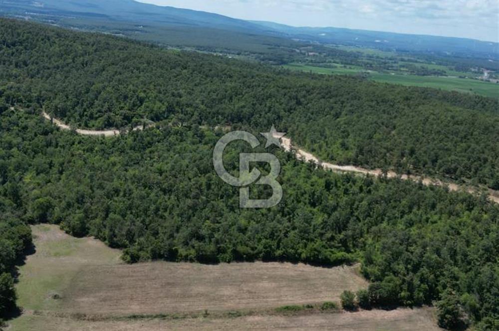 CB NEXUS'DAN ÇATALCA HSAİRBEYLİ DE 4626 M2 YATIRIMLIK ARSA