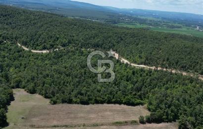 CB NEXUS'DAN ÇATALCA HSAİRBEYLİ DE 4626 M2 YATIRIMLIK ARSA
