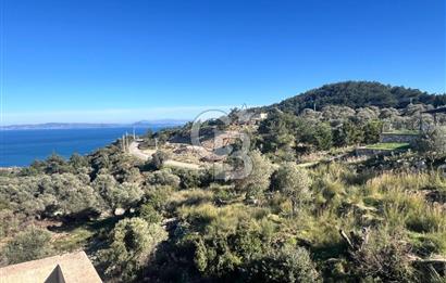 Karaburun İnecik'te İçerisinde 4+1 Müstakil Villa Bulunan Arazi