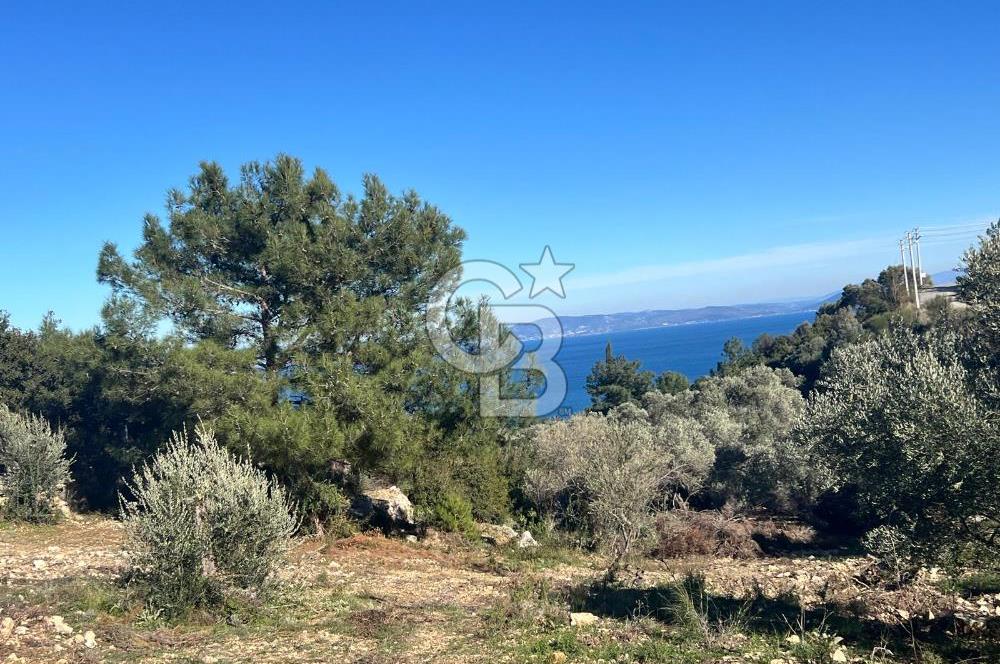 Karaburun İnecik'te İçerisinde 4+1 Müstakil Villa Bulunan Arazi