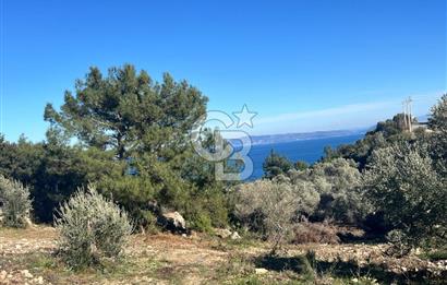 Karaburun İnecik'te İçerisinde 4+1 Müstakil Villa Bulunan Arazi