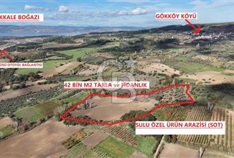 ÇANAKKALE GÖKKÖY'DE 42 DÖNÜM SULU ÖZEL ÜRÜN SINIFINDA EMSALSİZ TARLA  - 4 - 312438