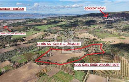 ÇANAKKALE GÖKKÖY'DE 42 DÖNÜM SULU 1. SINIF EMSALSİZ TARLA 