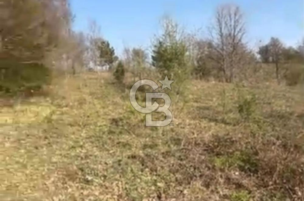 Bursa İnegöl Satılık Yatırımlık 9 Dönüm Fırsat Tarla