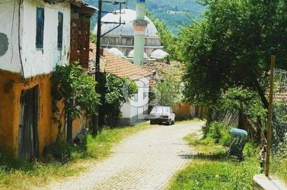 Bursa İnegöl Satılık Yatırımlık 9 Dönüm Fırsat Tarla