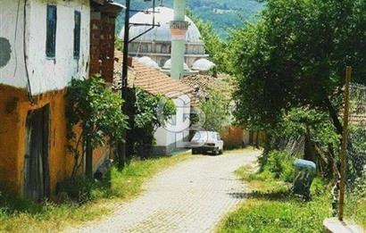 Bursa İnegöl Satılık Yatırımlık 9 Dönüm Fırsat Tarla