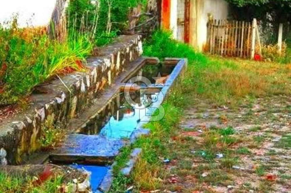 Bursa İnegöl Satılık Yatırımlık 9 Dönüm Fırsat Tarla