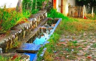 Bursa İnegöl Satılık Yatırımlık 9 Dönüm Fırsat Tarla