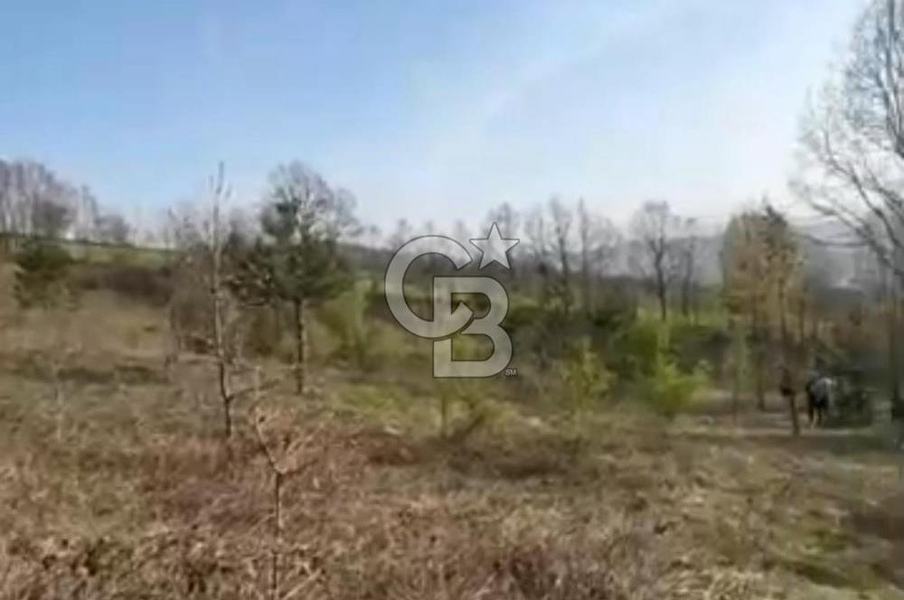 Bursa İnegöl Satılık Yatırımlık 9 Dönüm Fırsat Tarla