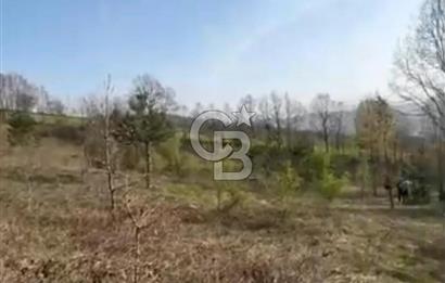 Bursa İnegöl Satılık Yatırımlık 9 Dönüm Fırsat Tarla