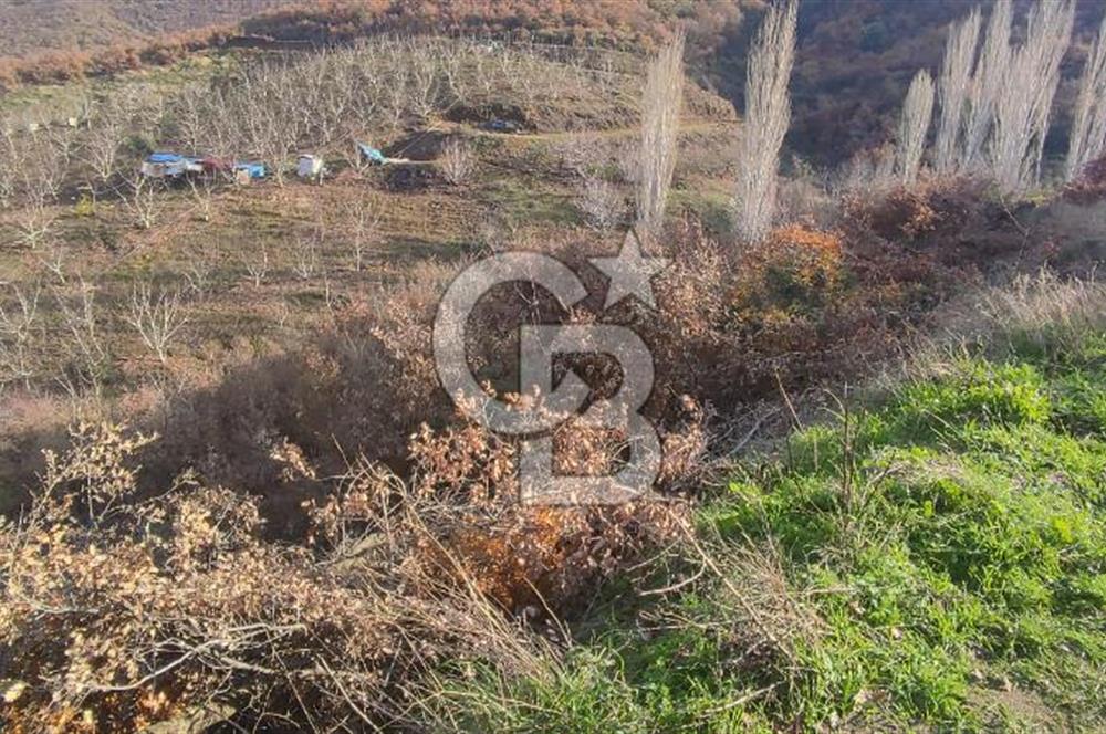 Bayındır'da 3778 M2 Köy Merkezine Yakın Satılık Yatırımlık Tarla