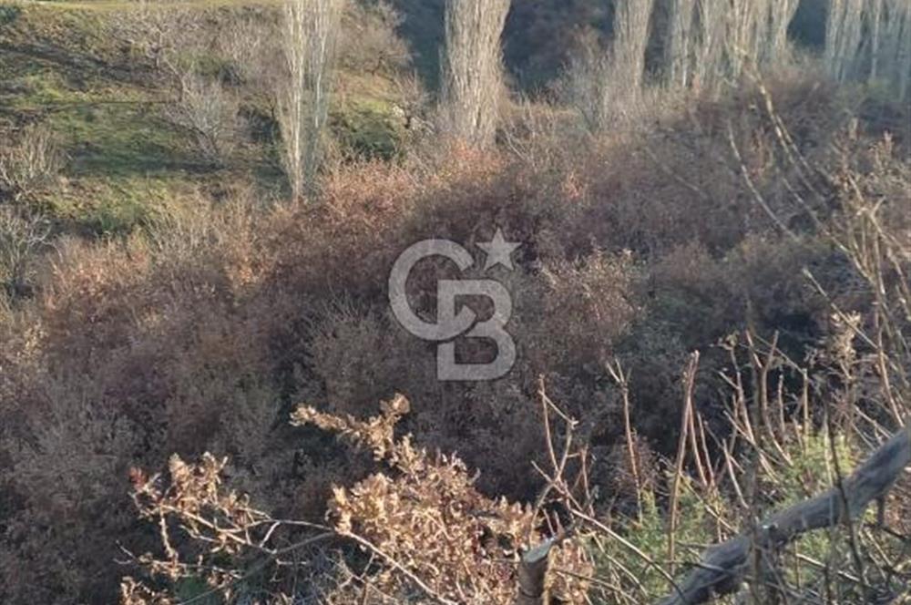 Bayındır'da 3778 M2 Köy Merkezine Yakın Satılık Yatırımlık Tarla