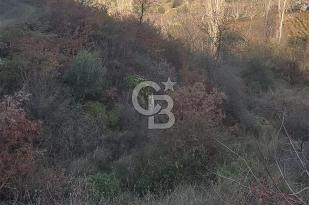 Bayındır'da 3778 M2 Köy Merkezine Yakın Satılık Yatırımlık Tarla