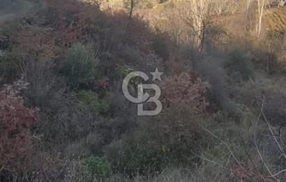 Bayındır'da 3778 M2 Köy Merkezine Yakın Satılık Yatırımlık Tarla