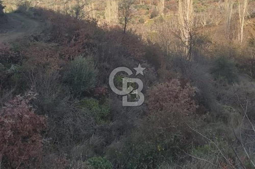 Bayındır'da 3778 M2 Köy Merkezine Yakın Satılık Yatırımlık Tarla