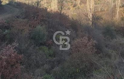 Bayındır'da 3778 M2 Köy Merkezine Yakın Satılık Yatırımlık Tarla