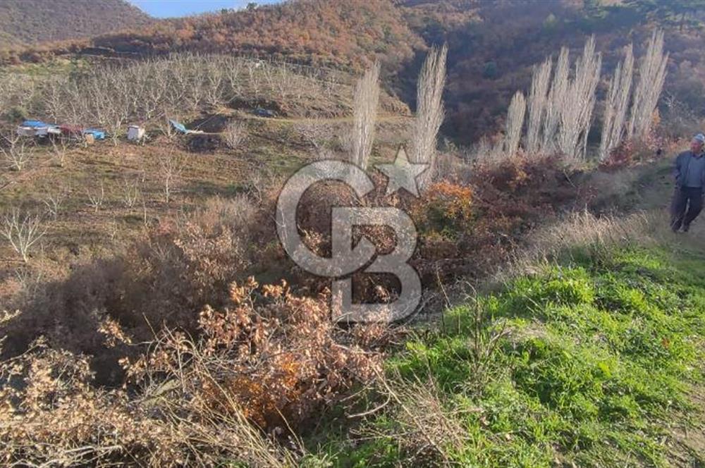 Bayındır'da 3778 M2 Köy Merkezine Yakın Satılık Yatırımlık Tarla