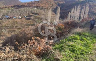 Bayındır'da 3778 M2 Köy Merkezine Yakın Satılık Yatırımlık Tarla