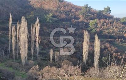 Bayındır'da 3778 M2 Köy Merkezine Yakın Satılık Yatırımlık Tarla