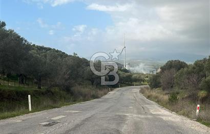 Bergama Zeytindağ Satılık 7272 M2 Özel Konumlu Zeytinlik !!