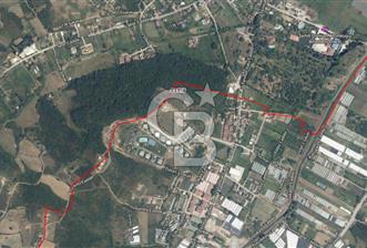 yalova kadıköy arsa - 1 - 327118