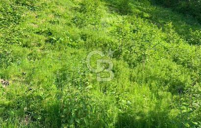 TRABZON UĞURLU'DA YOLA CEPHESİ OLAN YATIRIMLIK SATILIK ARAZİ