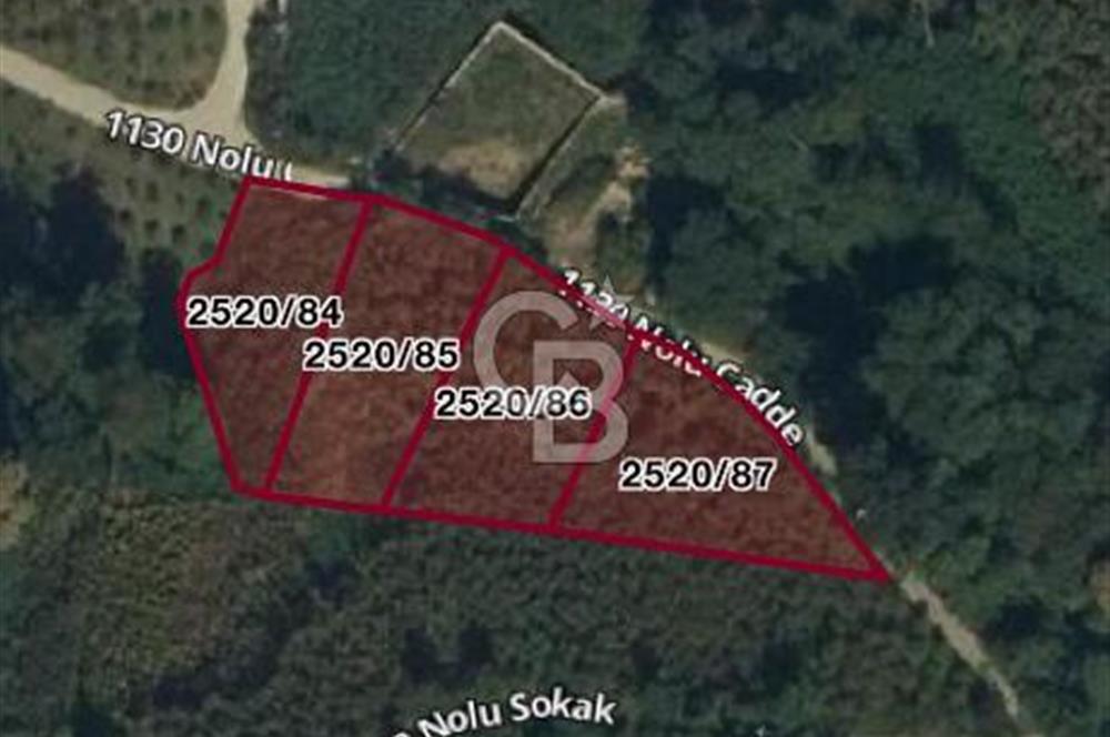 TRABZON UĞURLU'DA YOLA CEPHESİ OLAN YATIRIMLIK SATILIK ARAZİ