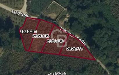 TRABZON UĞURLU'DA YOLA CEPHESİ OLAN YATIRIMLIK SATILIK ARAZİ