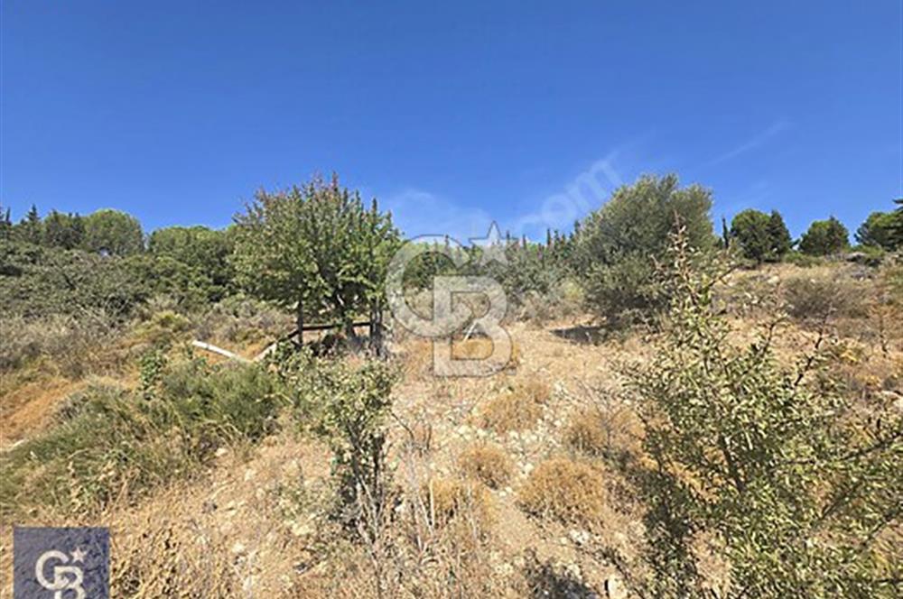 SEFERİHİSAR TURGUT DA YOLA CEPHELİ KÖYİÇİ İMARLI SATILIK ARAZİ