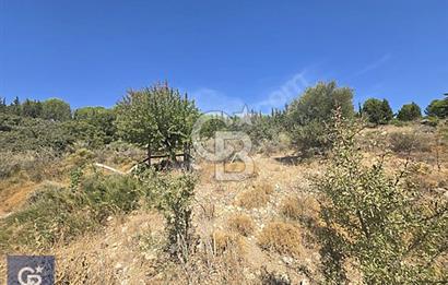 SEFERİHİSAR TURGUT DA YOLA CEPHELİ KÖYİÇİ İMARLI SATILIK ARAZİ