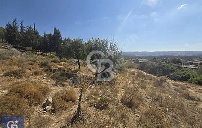 SEFERİHİSAR TURGUT DA YOLA CEPHELİ KÖYİÇİ İMARLI SATILIK ARAZİ