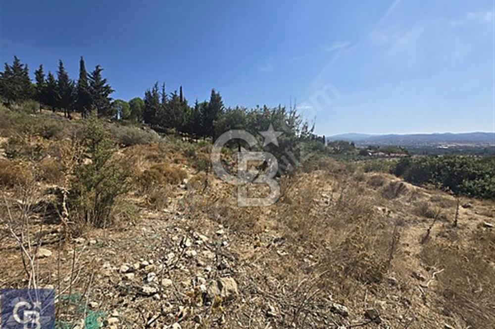 SEFERİHİSAR TURGUT DA YOLA CEPHELİ KÖYİÇİ İMARLI SATILIK ARAZİ