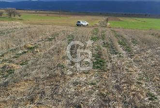 Afyon-Dazkırı Engerek Mevkinde Yola Yakın 6.603 m² Satılık Tarla - 9 - 327320