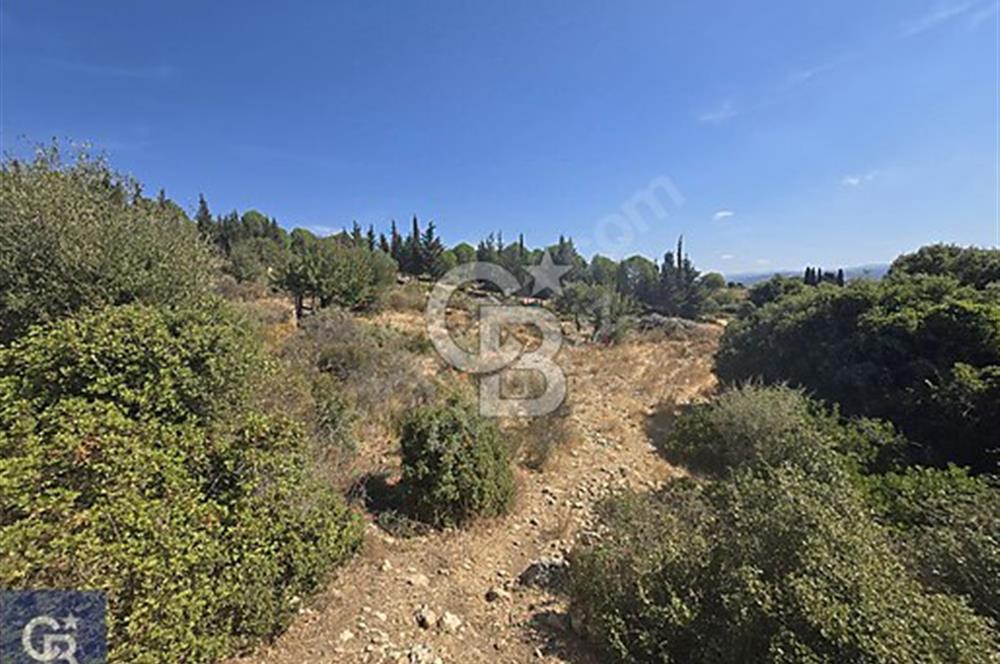 SEFERİHİSAR TURGUT DA YOLA CEPHELİ KÖYİÇİ İMARLI SATILIK ARAZİ