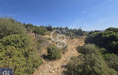 SEFERİHİSAR TURGUT DA YOLA CEPHELİ KÖYİÇİ İMARLI SATILIK ARAZİ