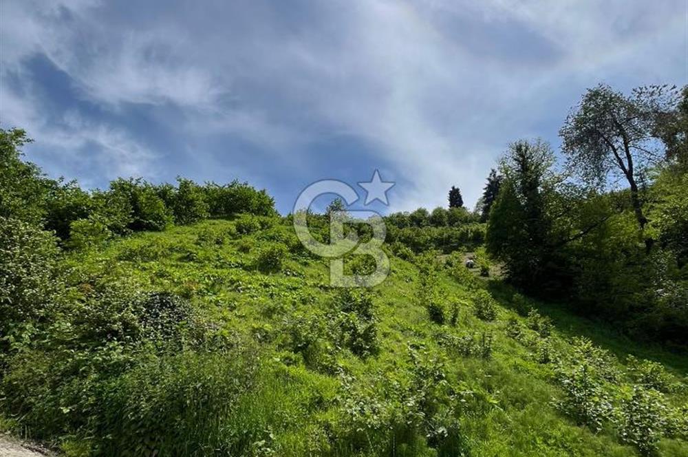 TRABZON UĞURLU'DA YOLA CEPHESİ OLAN YATIRIMLIK SATILIK ARAZİ