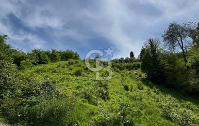 TRABZON UĞURLU'DA YOLA CEPHESİ OLAN YATIRIMLIK SATILIK ARAZİ