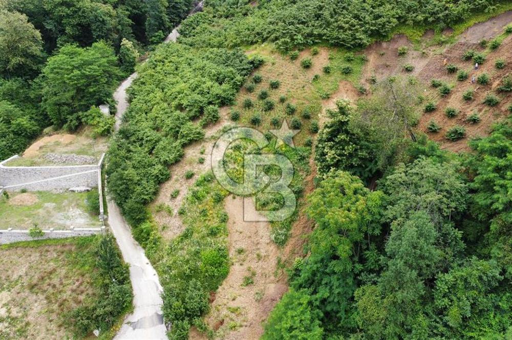 TRABZON UĞURLU'DA YOLA CEPHESİ OLAN YATIRIMLIK SATILIK ARAZİ