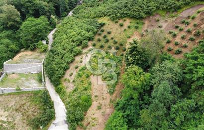 TRABZON UĞURLU'DA YOLA CEPHESİ OLAN YATIRIMLIK SATILIK ARAZİ