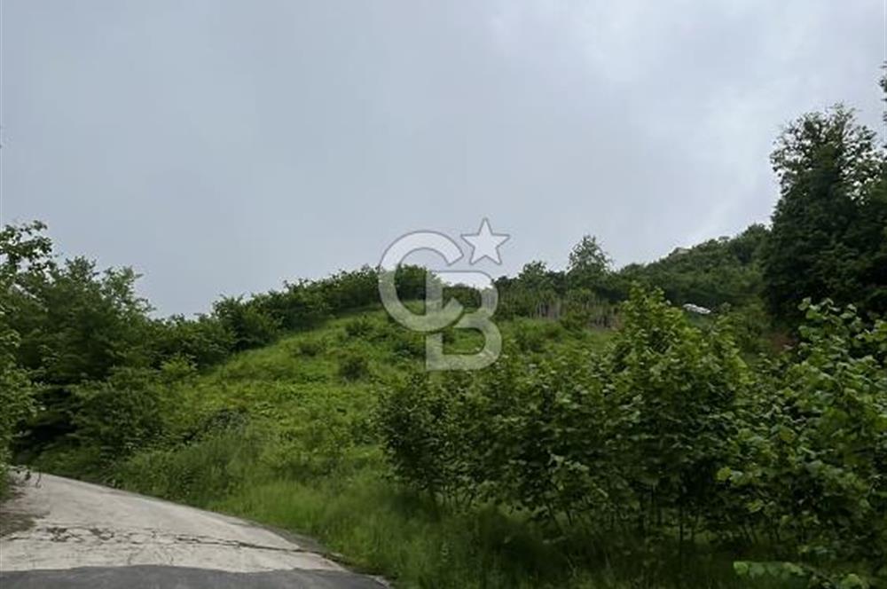 TRABZON UĞURLU'DA YOLA CEPHESİ OLAN YATIRIMLIK SATILIK ARAZİ