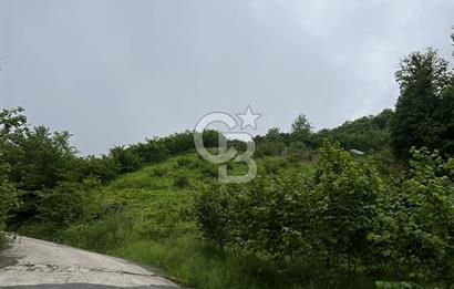 TRABZON UĞURLU'DA YOLA CEPHESİ OLAN YATIRIMLIK SATILIK ARAZİ