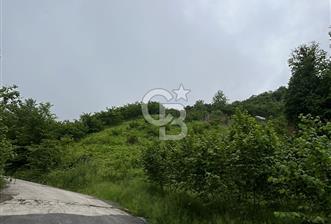 TRABZON UĞURLU'DA YOLA CEPHESİ OLAN YATIRIMLIK SATILIK ARAZİ - 1 - 327232