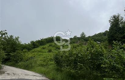 TRABZON UĞURLU'DA YOLA CEPHESİ OLAN YATIRIMLIK SATILIK ARAZİ