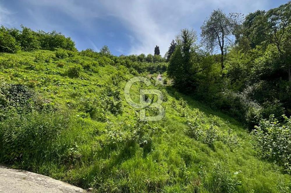 TRABZON UĞURLU'DA YOLA CEPHESİ OLAN YATIRIMLIK SATILIK ARAZİ