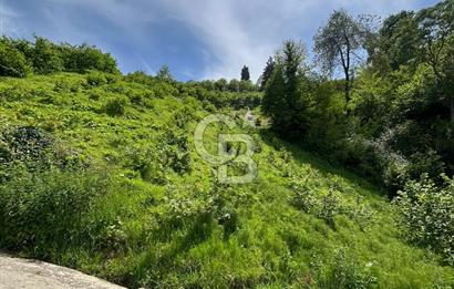 TRABZON UĞURLU'DA YOLA CEPHESİ OLAN YATIRIMLIK SATILIK ARAZİ