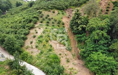 TRABZON UĞURLU'DA YOLA CEPHESİ OLAN YATIRIMLIK SATILIK ARAZİ