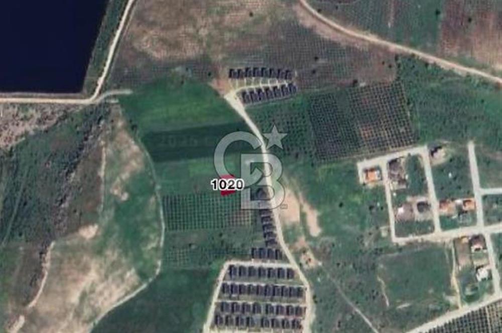 Yunusemre Gülbahçe de Villa imarlı arsa