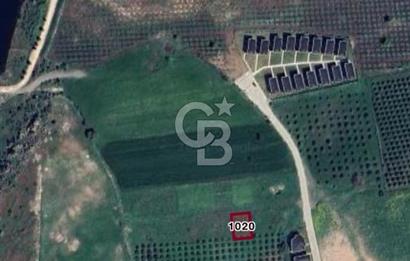 Yunusemre Gülbahçe de Villa imarlı arsa