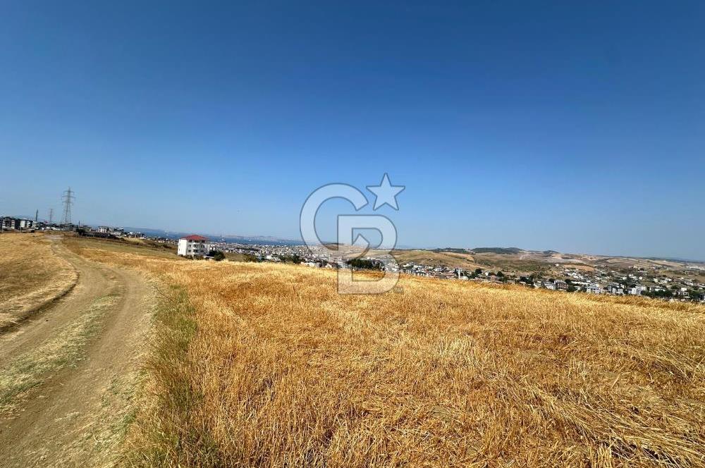 yalova merkez satılık ımarlı arsa